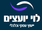 ירון לוי, ייעוץ עסקי